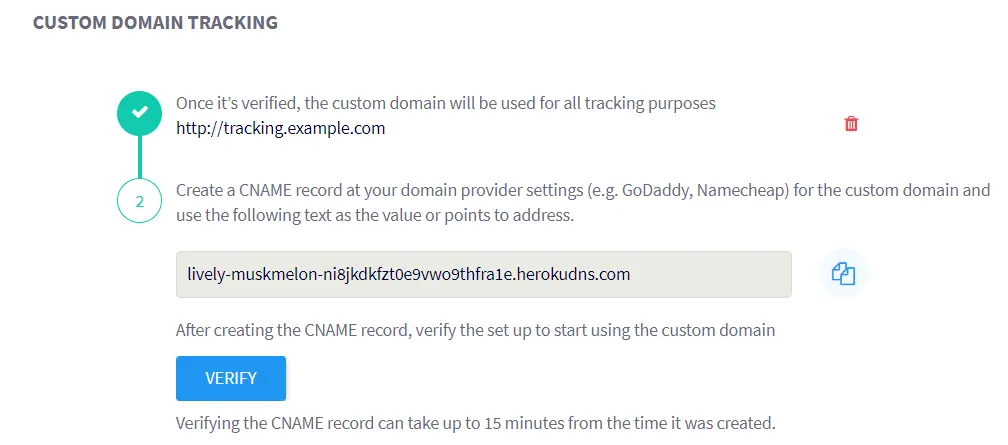 setting up of custom domain tracking